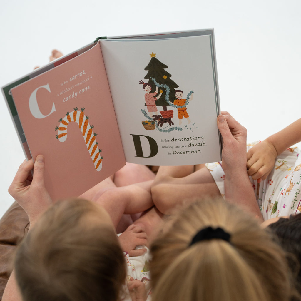 Book - A Brilliant Christmas