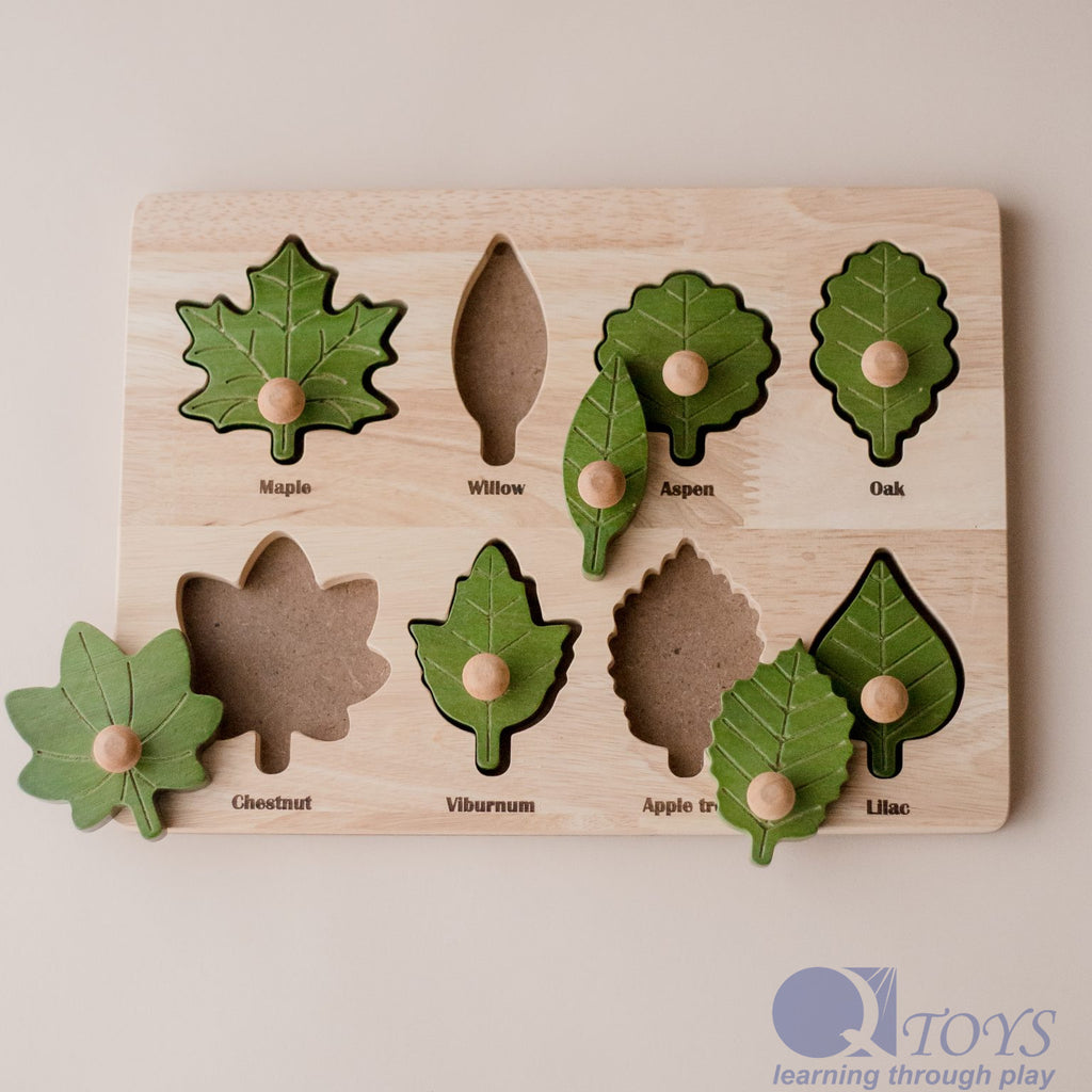 Montessori Leaf Puzzle