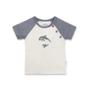 SS24 - Raglan Tee - Orca Print