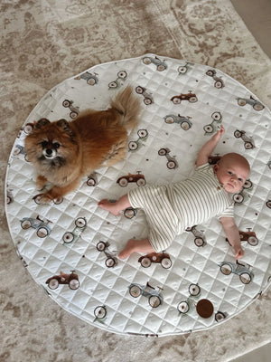 Padded Water-Resistant Playmat - Cars