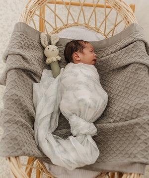 Muslin Wrap & Pram Clips Set - Grey Feathers