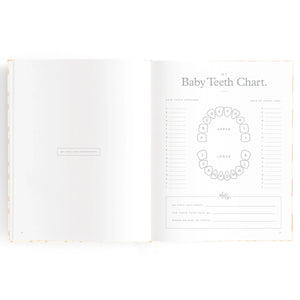 Baby Book - Daisy Grid (boxed)