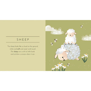 Board Book - Touch & Feel - Animals