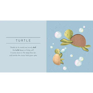 Board Book - Touch & Feel - Animals
