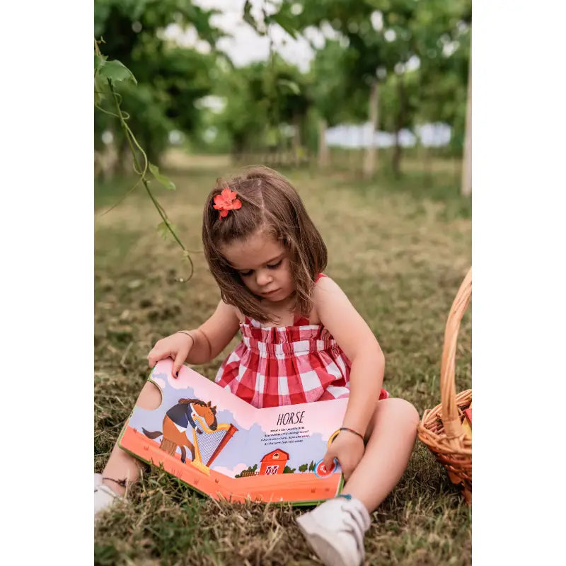 Board Book - Sounds Book - The Farm