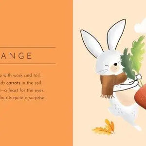 Board Book - Touch & Feel - Colours