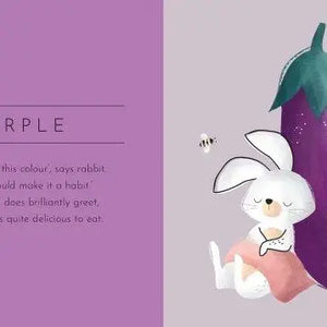 Board Book - Touch & Feel - Colours