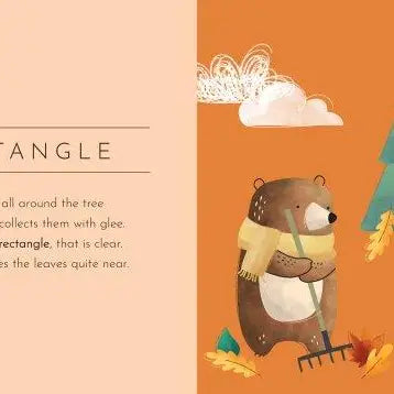 Board Book - Touch & Feel - Shapes