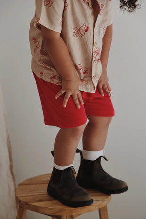 Ziggy Lou - Christmas - Shorts - Shawn the Prawn