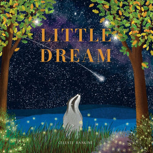 Book - Little Dream