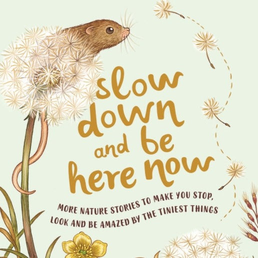 Book - Slow Down... And Be Here Now