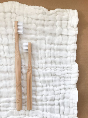 Eco Toothbrush