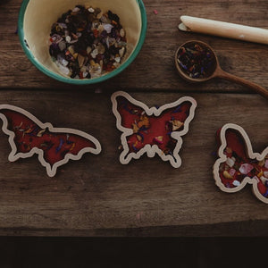 Eco Cutter Set - Butterfly