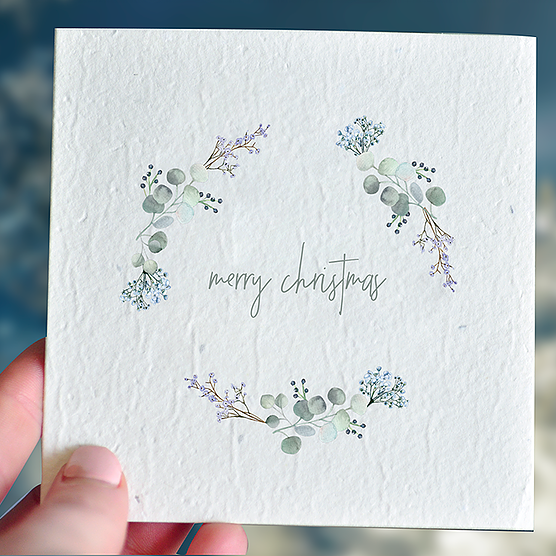 Christmas Plantable Gift Card - Frosty
