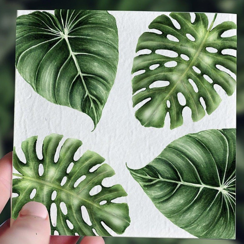 Plantable Gift Card - Tropic