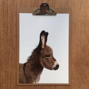 Print -  Donkey Friend