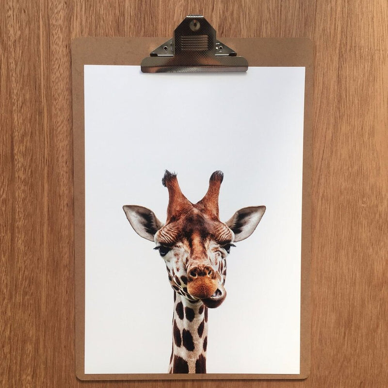 Print -  Giraffe Friend
