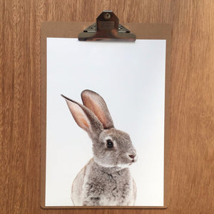 Print -  Grey Bunny Friend