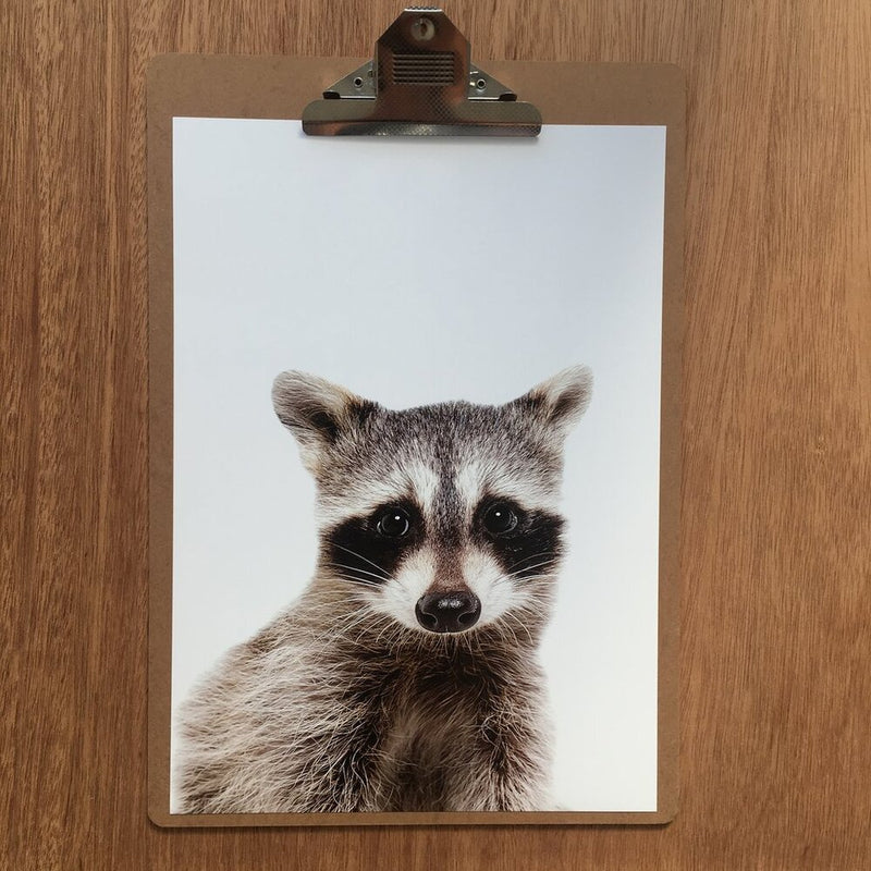 Print - Raccoon Friend