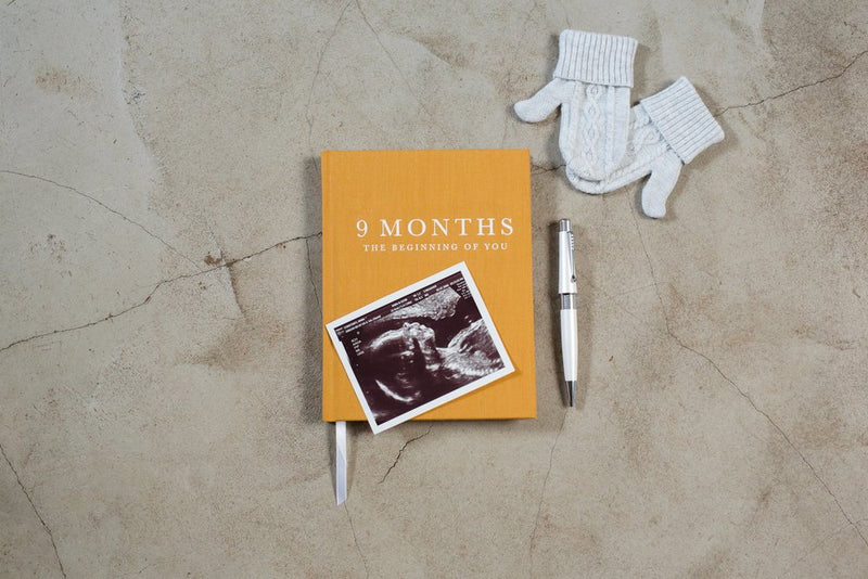 Journal - 9 Months, The Beginning of You